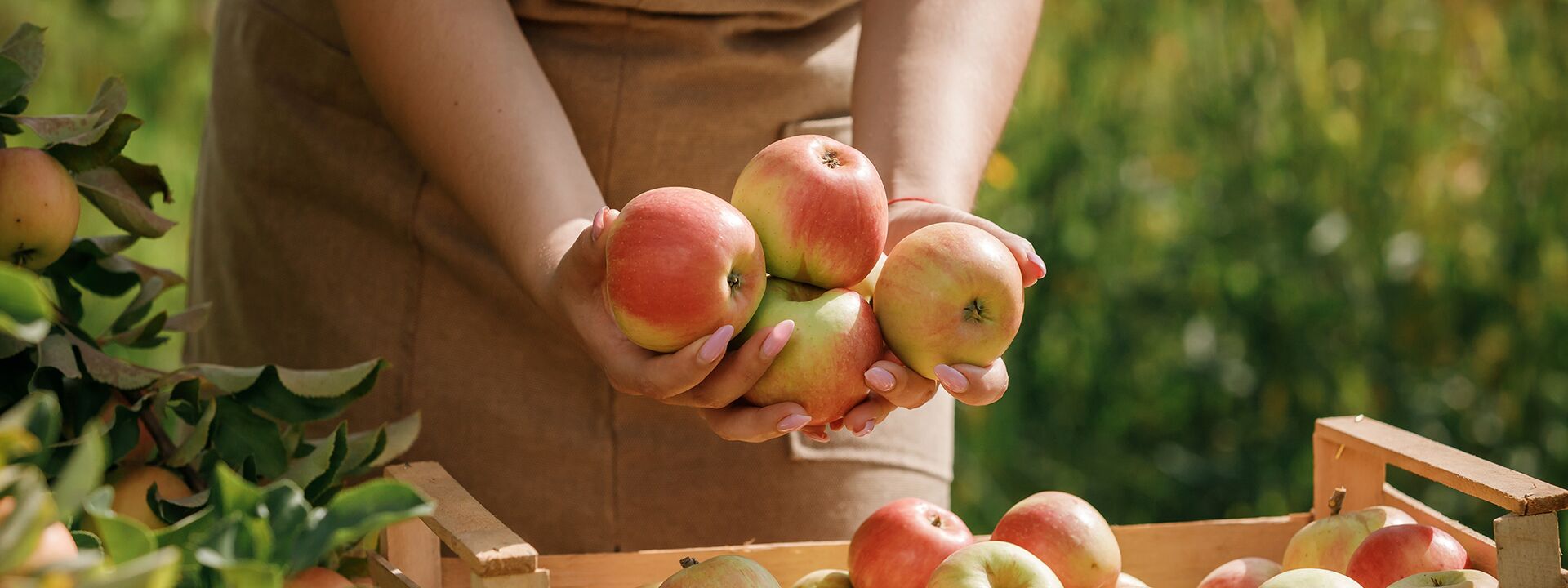 Über uns Obstmix GmbH